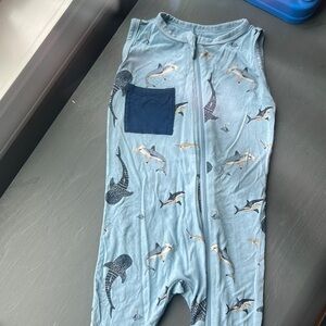 Kyte baby blue stream shark